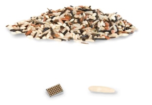 Chip Comparison