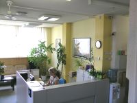 ON Semiconductor Facilities in Czech Republic