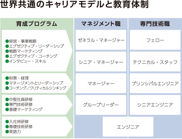 世界共通のキャリアモデルと教育体制