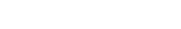 日本（SSR）での事業規模